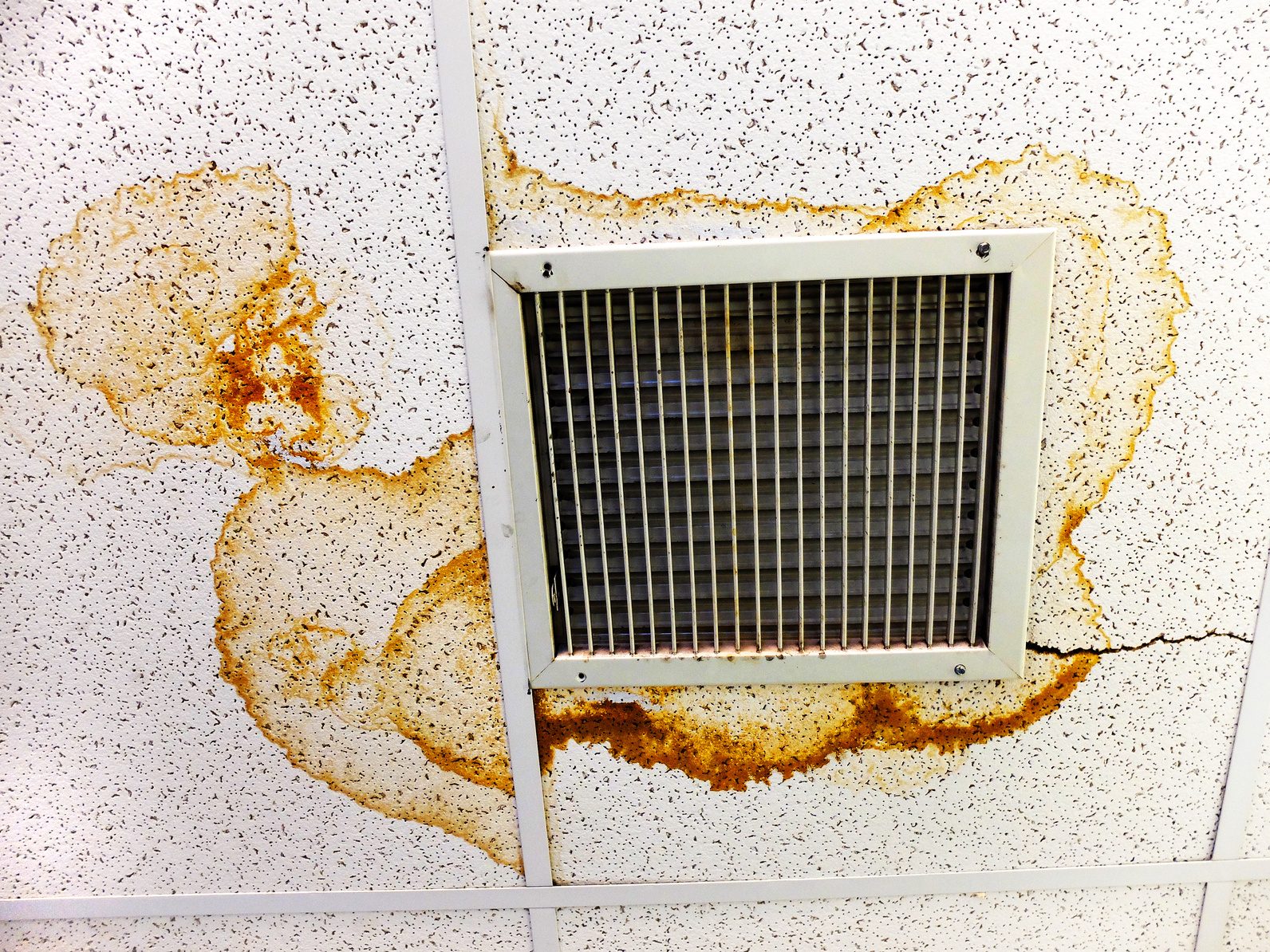 Rust-colored water stains on ceiling tiles around an air vent